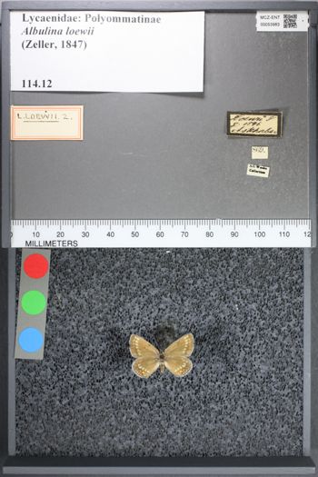 Media type: image;   Entomology 53983
